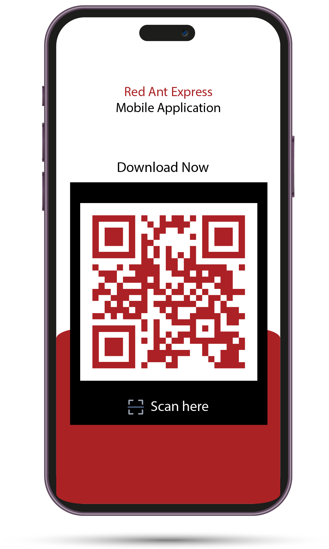 scan_qr_code